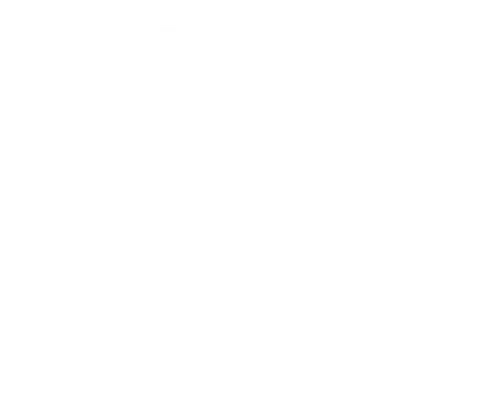 Muscle Beach Party