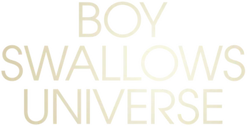 Boy Swallows Universe