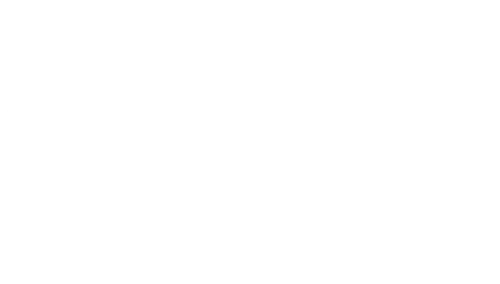 One Crazy Summer