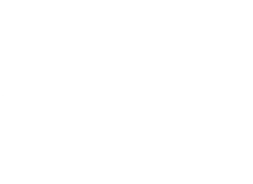 Our Only Chance