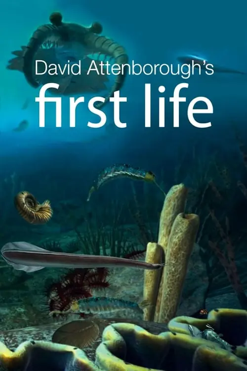 First Life