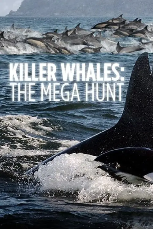 Killer Whales: the Mega Hunt