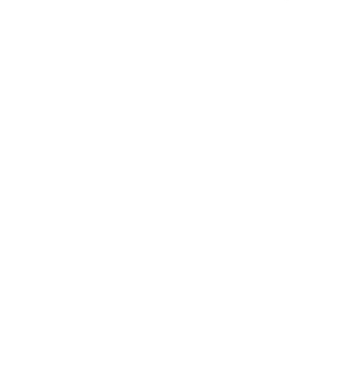 Big Jake