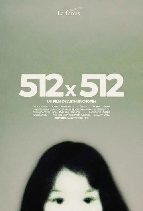 512X512