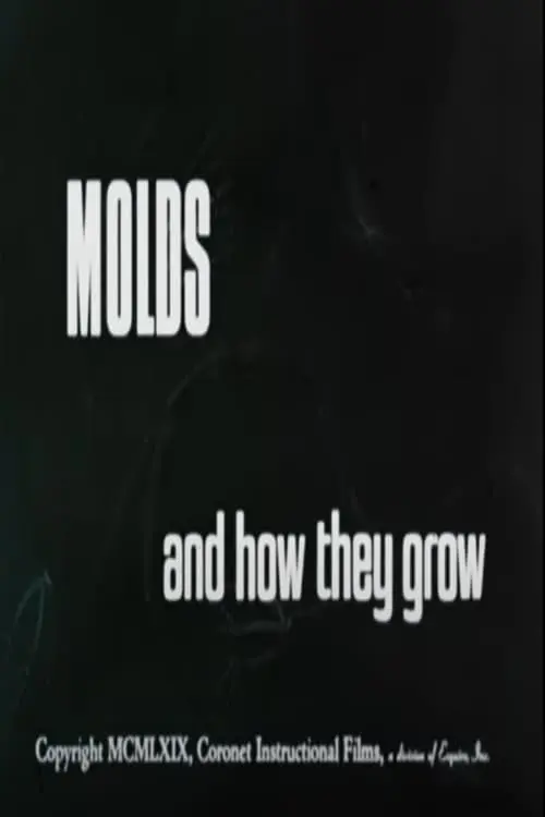 Molds and How They Grow