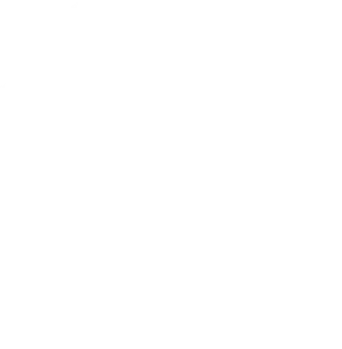 I Got Lucky: Survival Stories