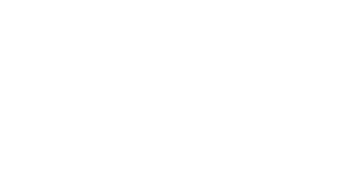 The Hero