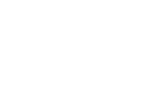 Y: The Last Man