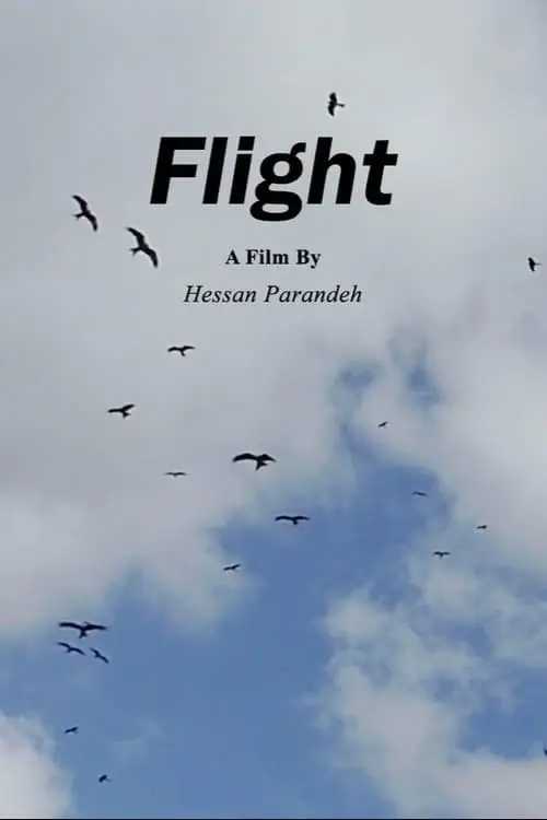 Flight