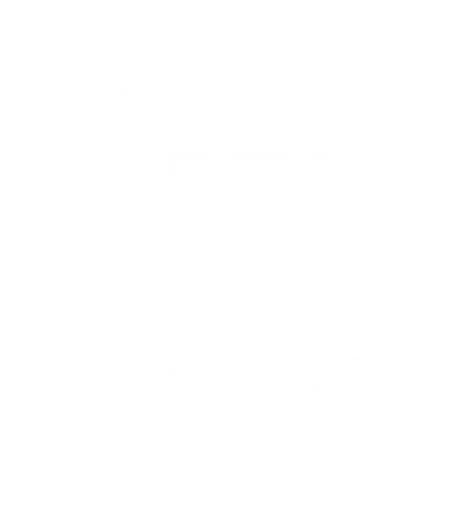 When Sharks Attack 360