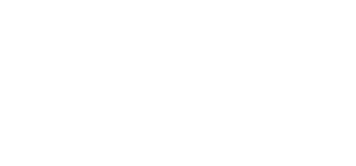 Marcel the Shell with Shoes On, Two